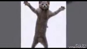 Мяу мяу , мур мур песня