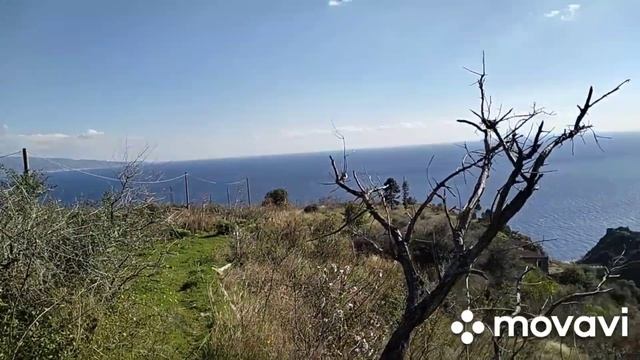 СИЦИЛИЯ. СБОРНАЯ СОЛЯНКА-ВСЯКАЯ ВСЯЧИНА.😂 смотреть онлайн