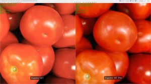 Главный хит осени! Обзор Xiaomi 14T и сравнение с 14T Pro