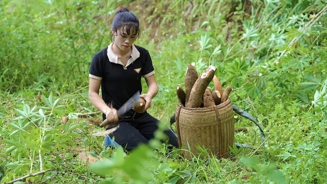Harvesting Cassava as Animal Food and Cassava Sticky Rice, Mountain Family Life | EP. 57 смотреть онлайн