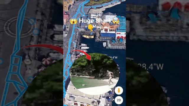 Huge Shark 😱🦈 found on google maps and google earth 🌏 #shorts #Mapsstart смотреть онлайн