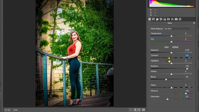 Green Effect in Photoshop || Camera Raw Filter смотреть онлайн