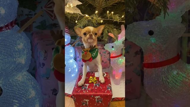 Поздравление с новым годом!!! смотреть онлайн