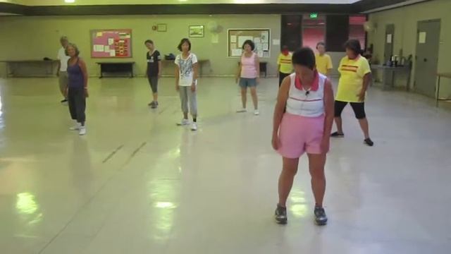 Yang Style Tai Chi High Pat on the Horse, Kick Out, Double Punch everydaytaichi lucy chun смотреть онлайн