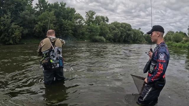 река Пахра.июль 2024 жерех,язь,голавль и окунь