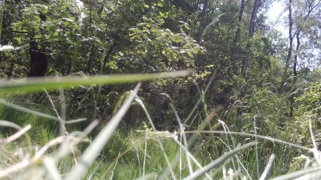 Orion RX 250 SOUND смотреть онлайн