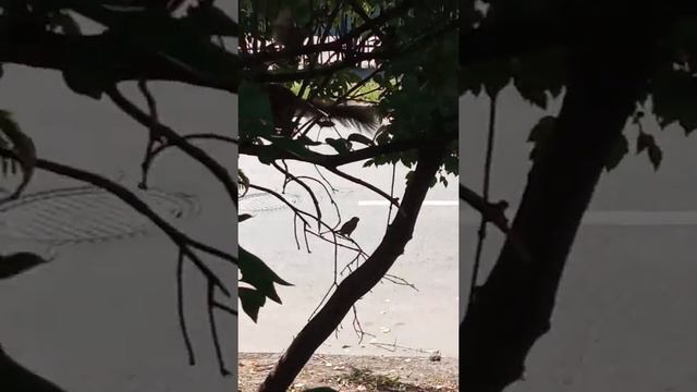 16 июля 2022 г. смотреть онлайн