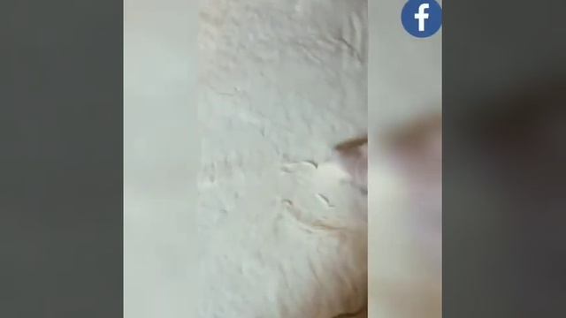 Синнабон булочка тайёрлаш, жуда мазали😋🥐 смотреть онлайн