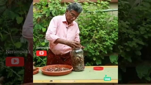 ഫിഷ് അമിനോ ആസിഡ്( വളർച്ചാ ത്വരകം) ഉണ്ടാക്കുന്ന വിധം смотреть онлайн
