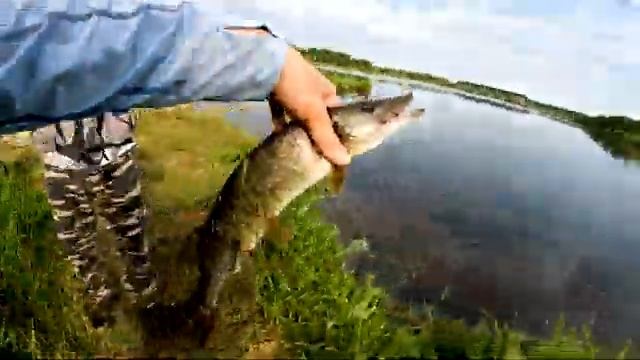 Астраханская рыбалка в Подмосковье