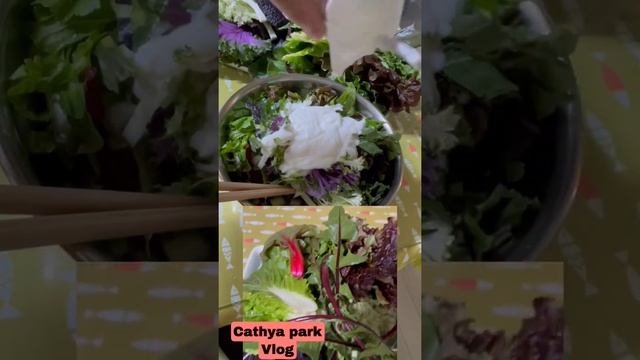 Colorful leaves for salad#cathya park vlog смотреть онлайн