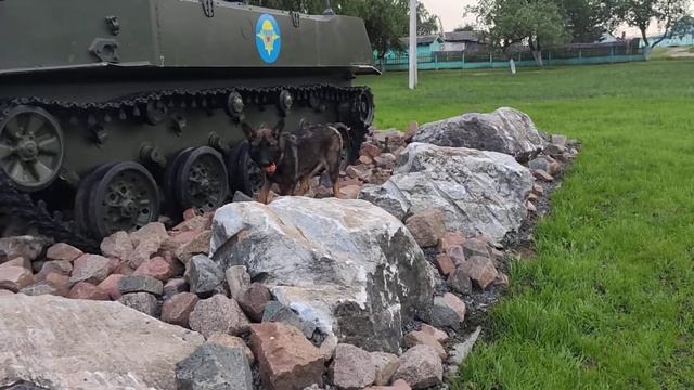 Секьюрити Вон Хаус Бусидо смотреть онлайн