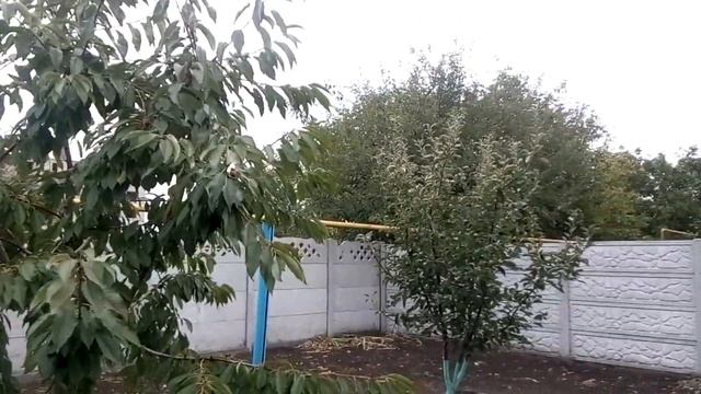 Тест камеры Leagoo M8 №2 смотреть онлайн