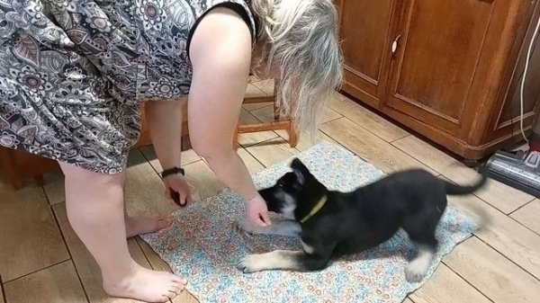 Фиелисс ХАРЬЯГА сидеть-лежать первое занятие.