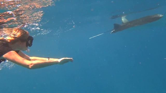 Maldives Paradise 2021 смотреть онлайн