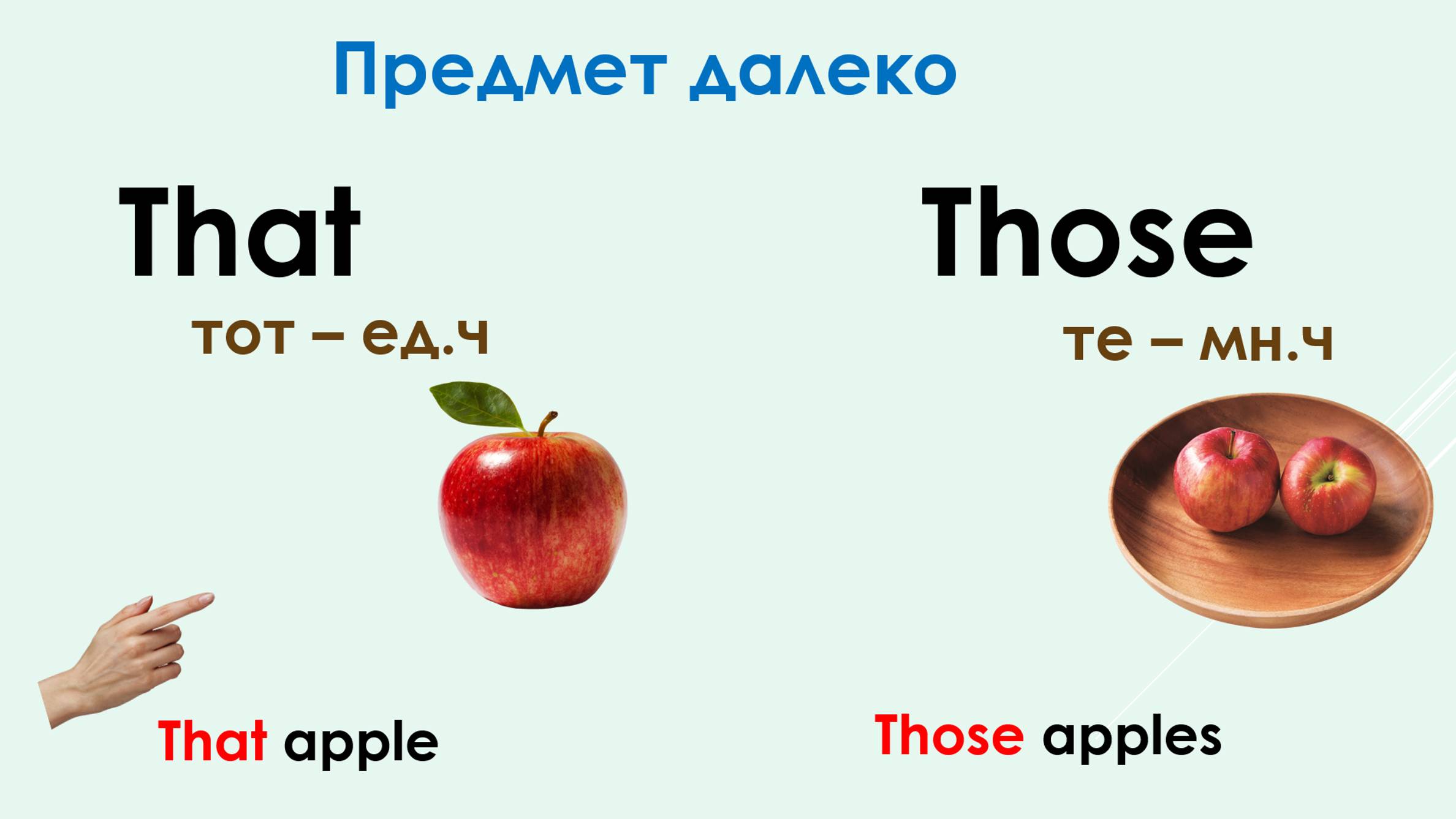 Указательные местоимения this/that/ these/those. Грамматика Spotlight 3кл смотреть онлайн