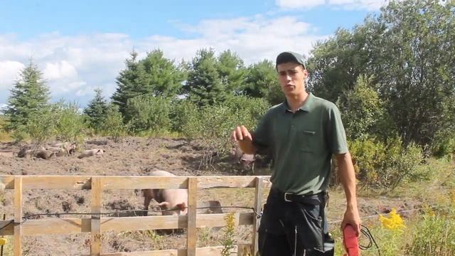 Everything You (Actually) Need to Raise Pigs смотреть онлайн