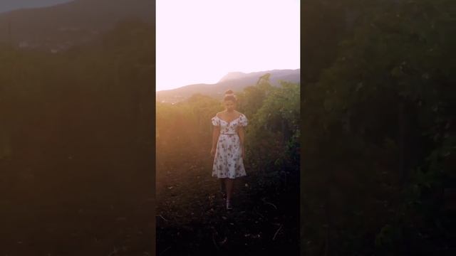 Виноградники в Крыму, Алушта смотреть онлайн