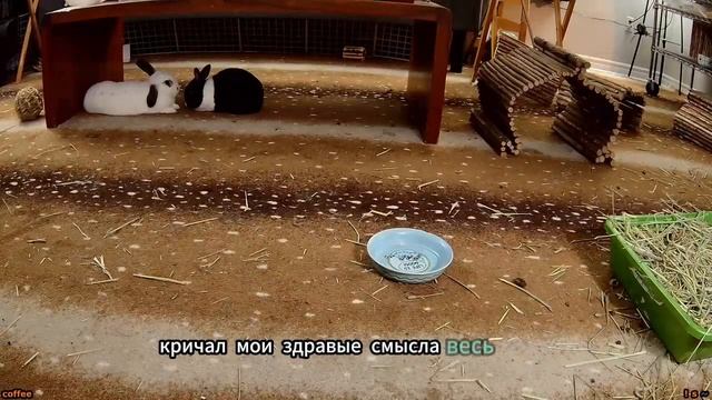 Хорошее предложение смотреть онлайн