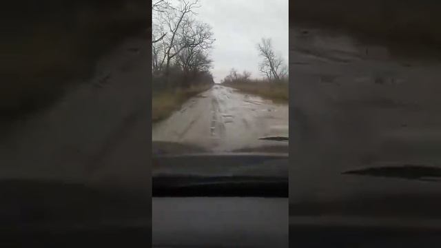 Вот как мы живем как отшелники и не кто не хочет помочить смотреть онлайн