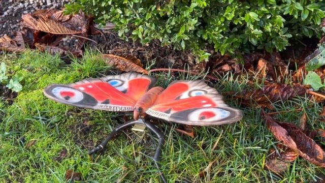 Home2garden - Large Orange Butterfly смотреть онлайн