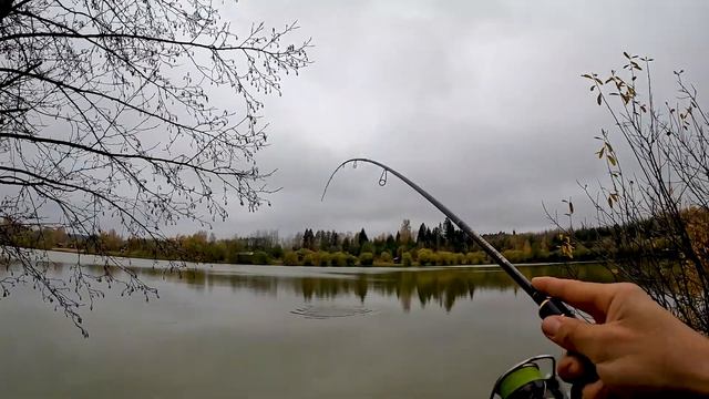 В поисках далекой щуки на пруду