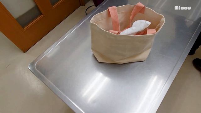 動物病院に健康診断に連れて行ったが院長からまさかの言葉がでた【瀬戸の茶白日記】 смотреть онлайн
