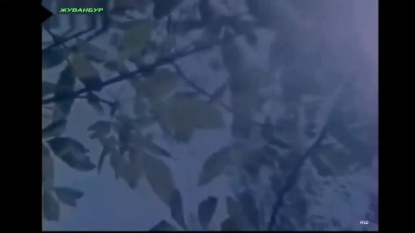 Даниял Казиев