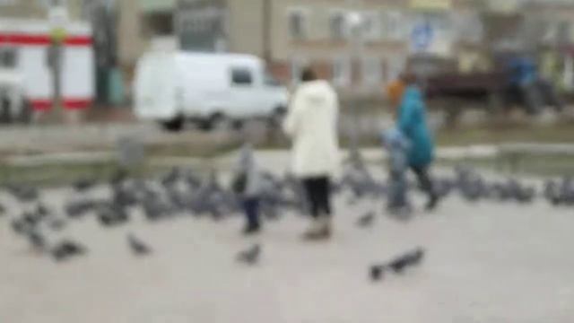 Голубиная площадь в Вичуге /1/ смотреть онлайн