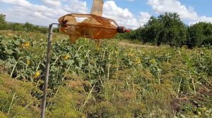 отпугиватель воробьёв