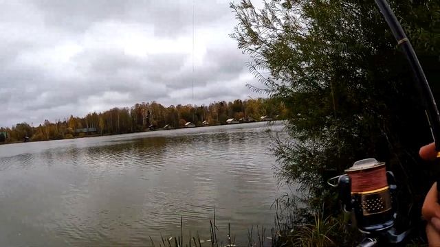 Быстрый старт осени на пруду