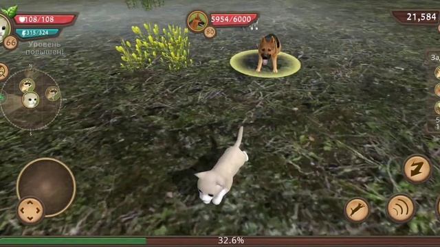 Победил всех эпических боссов в игре Cat Sim Online: Play With Cats.