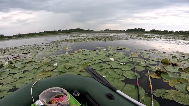 ЗАКІЛОШНІ КАРАСІ ЧЕМОДАНИ ГНУТЬ ВУДКИ! КАРАСІ НА КІЛО НА ПОПЛАВОК! РИБАЛКА НА ВЕЛИКИХ КАРАСІВ! смотреть онлайн