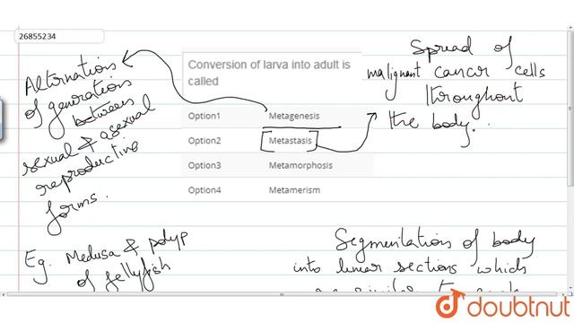 Conversion of larva into adult is called смотреть онлайн