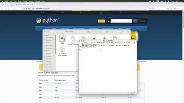 Установка Python 3.13 и PyCharm на Windows/Mac | УРОК 1