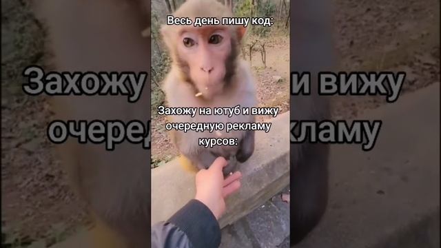 Топ курсы #программирование смотреть онлайн