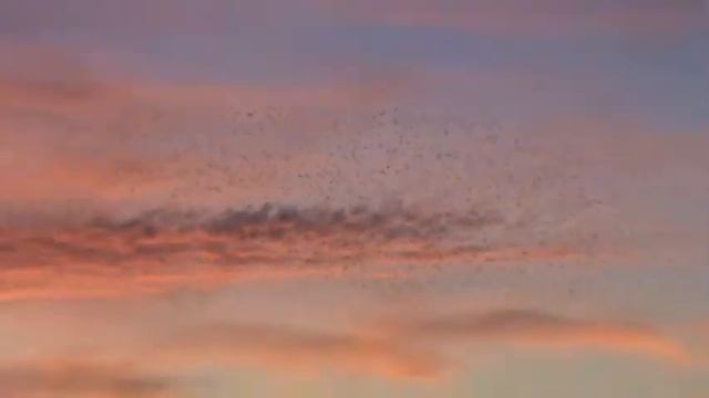 M2U00264 смотреть онлайн