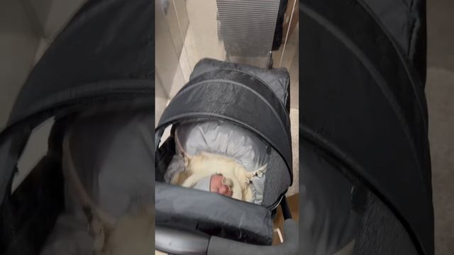 Хотите еще такое видео? #реборн #reborndoll смотреть онлайн