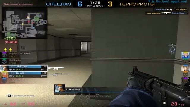 Приколы в CS:GO || Fun play Тюлень в катке смотреть онлайн