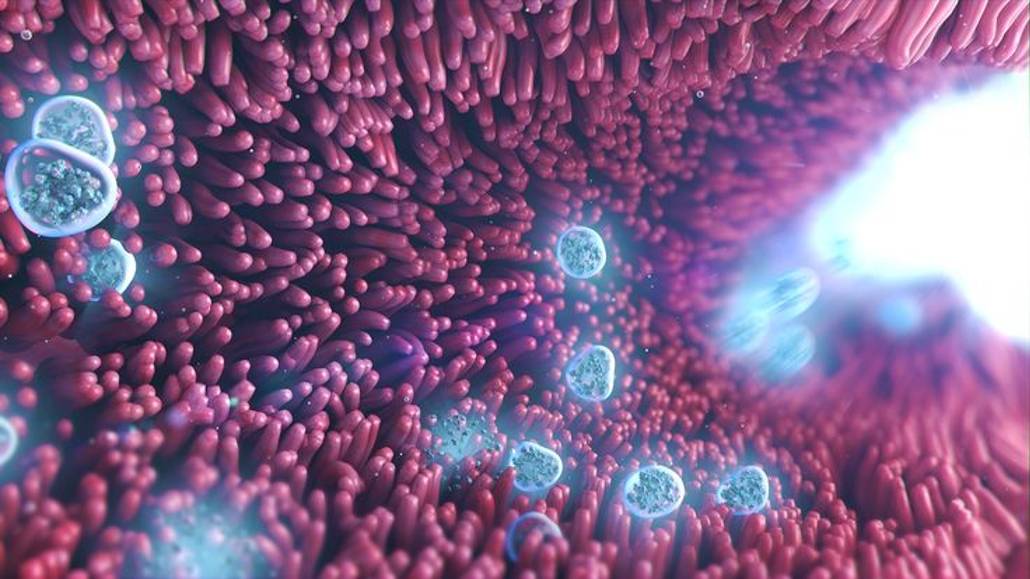 ╲⎝⧹ʕ˜ᴥО б н ᴏ ʙ ᴧ ᴇ н и ᴇ ᴋ ᴧ ᴇ ᴛ ᴏ ᴋ . Ч ᴀ ᴄ ᴛ ᴏ ᴛ ᴀ 2 8 5ᴥ˜ʔ ⎠╱ смотреть онлайн