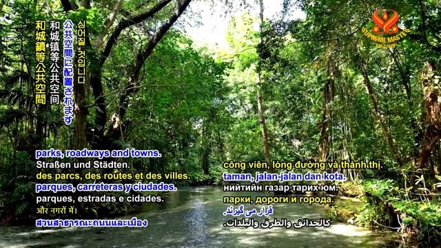 #917 Watch Good News to Learn English 看新聞學英語 20200407 смотреть онлайн