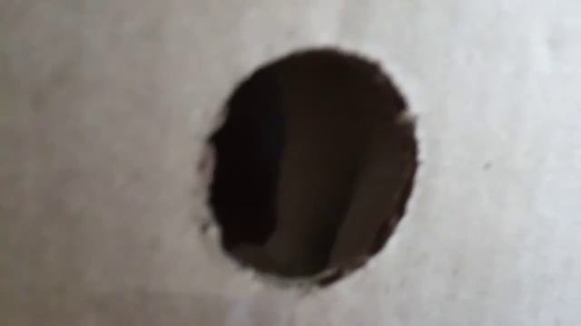 коты и коробки смотреть онлайн