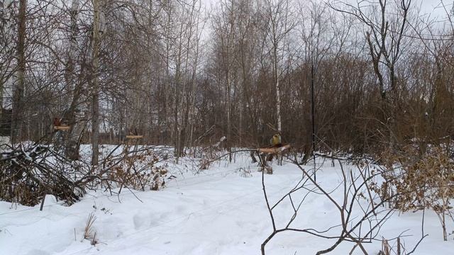 Ловля птиц 10.01.2025. смотреть онлайн