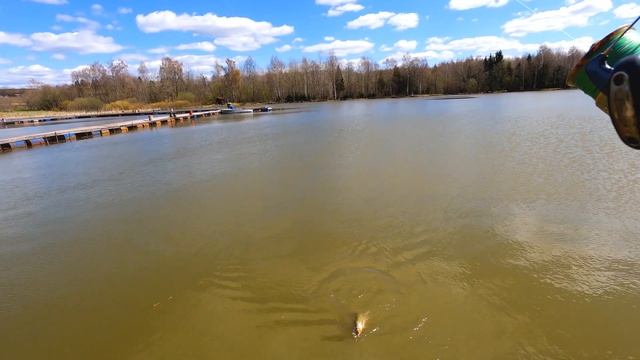 Закрытие весеннего сезона по щуке