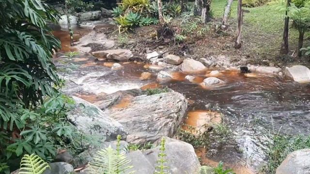 Barulho de cachoeira para dormir bem e profundamente смотреть онлайн