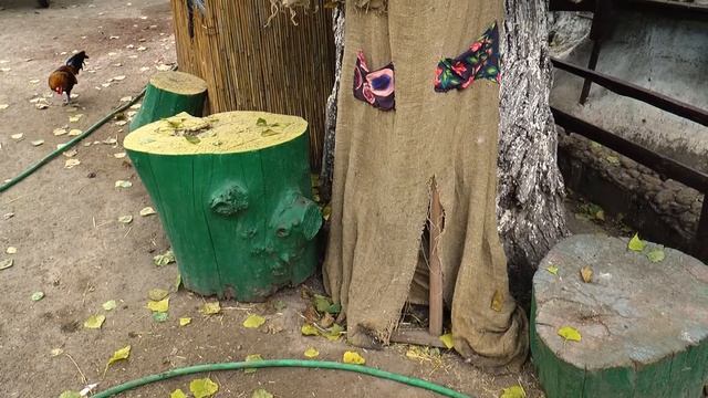 Хэллоуин в Одесском зоопарке смотреть онлайн