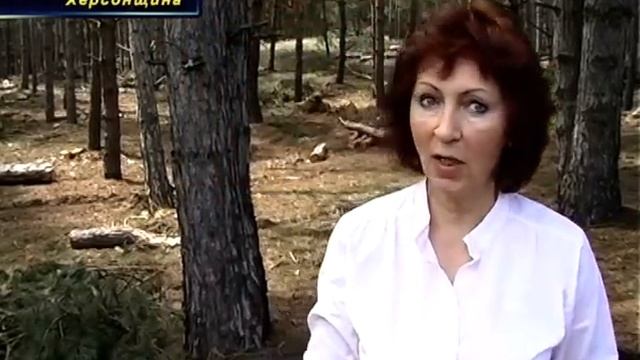 На Херсонщину суне піщана буря! Зупинимо вирубку лісу! смотреть онлайн