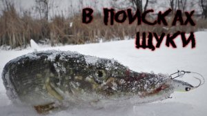 Зимняя рыбалка на щуку. Где же зимует щука_ Как её найти_