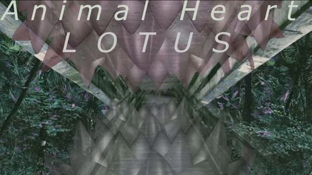 Part One of the Album Lotus by Animal Heart смотреть онлайн