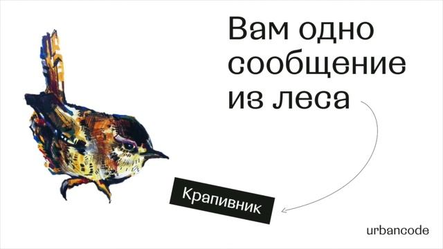 Крапивник смотреть онлайн